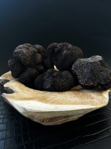 Truffe melanosporum fraîche direct truffière