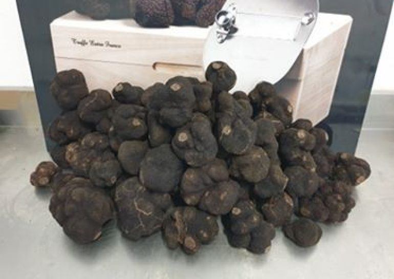 truffe-noire-chili