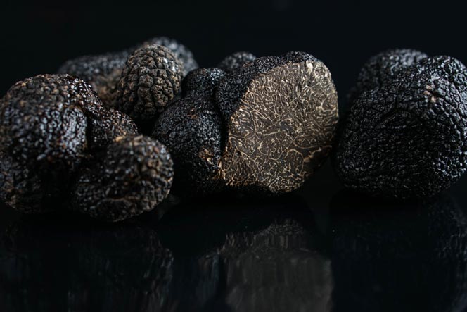 truffe noire perigord fraiche