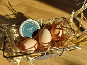 Le suprême de truffe noire, l’arme fatale pour découvrir la truffe sans pression !